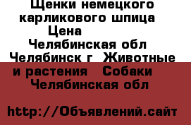 Щенки немецкого карликового шпица › Цена ­ 20 000 - Челябинская обл., Челябинск г. Животные и растения » Собаки   . Челябинская обл.